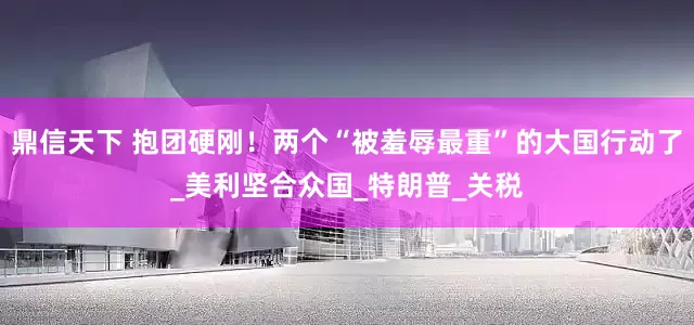 鼎信天下 抱团硬刚！两个“被羞辱最重”的大国行动了_美利坚合众国_特朗普_关税