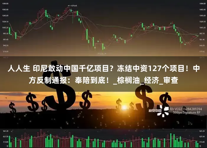 人人生 印尼敢动中国千亿项目？冻结中资127个项目！中方反制通报：奉陪到底！_棕榈油_经济_审查