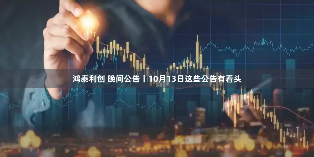 鸿泰利创 晚间公告丨10月13日这些公告有看头
